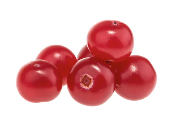 Cranberry Diisolasi Pada Latar Belakang Putih Dengan Tapak Kliping — Stok Foto