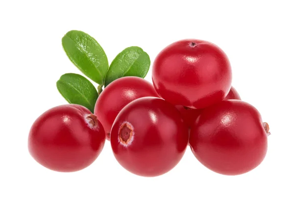Cranberries Geïsoleerd Witte Achtergrond Met Clipping Pad — Stockfoto