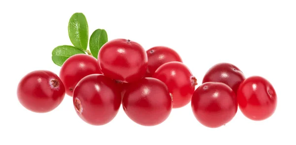 Cranberries Geïsoleerd Witte Achtergrond — Stockfoto