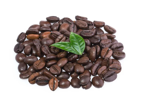 Kaffeekörner Mit Blättern Isoliert Auf Weißem Hintergrund — Stockfoto