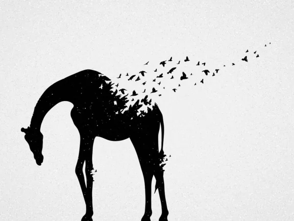 Giraffe Flying Birds Endangered Animal Black White Silhouette — ストックベクタ