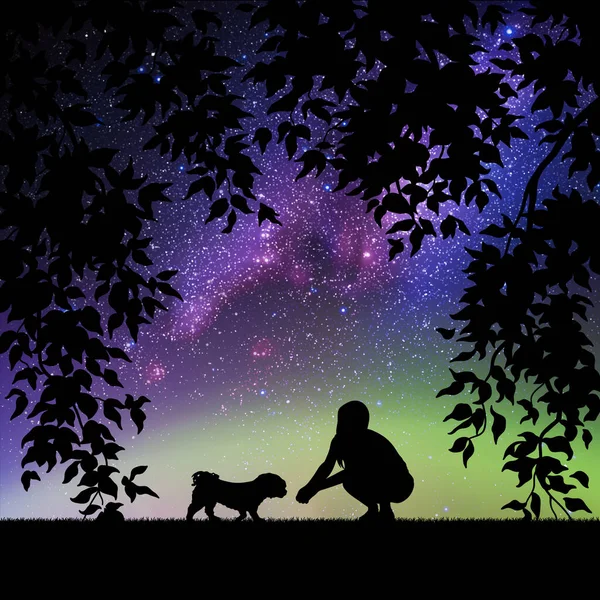 夜に犬と女の子 女性とペットの輪郭 星空の天の川 — ストックベクタ