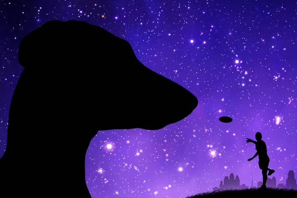 夜は公園に犬を飼っている男 プレートで遊ぶ 天の川と星 — ストックベクタ
