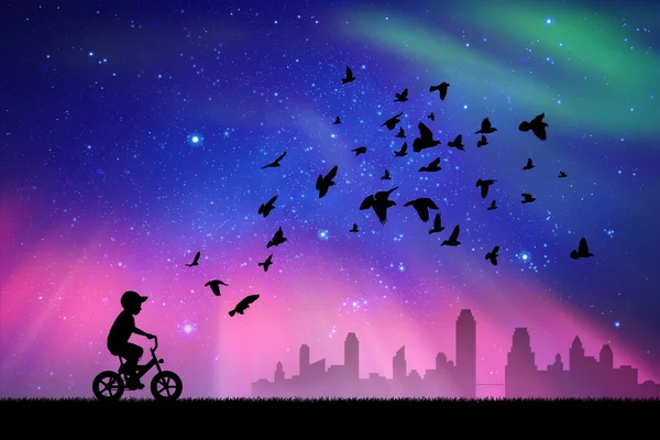 公園で自転車や鳥の男の子 自転車のシルエットの子供 天の川 — ストックベクタ