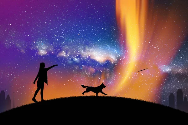女の子は夜公園で犬と遊ぶ 女とランニングペット 天の川 — ストックベクタ
