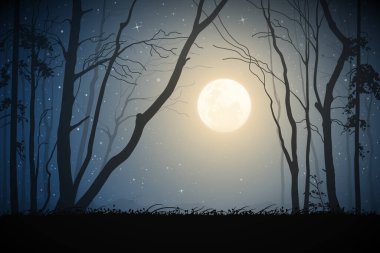  Ay ışığı gecesinde orman. Çıplak ağaç siluetleri. Dolunay ve yıldızlar