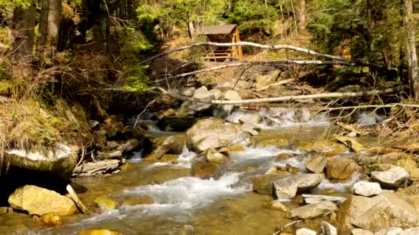 Cascade Waterval Goedemorgen Het Bos Water Stroomt Onder Omgevallen Bomen — Stockvideo