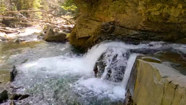 Cascade Waterval Zonnige Ochtend Het Bos Waterstromen Onder Steen — Stockvideo