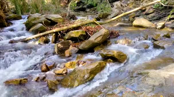 瀑布层叠 森林里阳光灿烂的早晨 水沿着石头流 — 图库视频影像