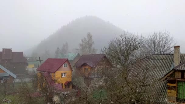雪花缓缓落下 村里的冬季天气 — 图库视频影像