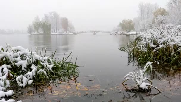 Stadtsee Schneefall Uferpromenade Mit Schnee Bedeckt Fallende Schneeflocke — Stockvideo