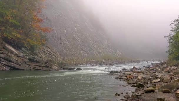Bergrivier Mist Herfst Landschap Met Rotsachtige Kust Onder Klif — Stockvideo