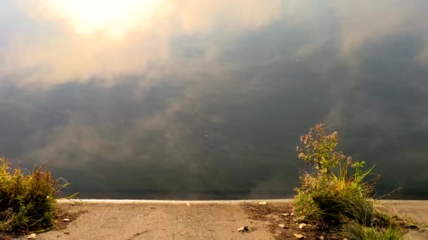 Ομίχλη Απλώνεται Πάνω Από Νερό Ατμισμένη Λίμνη Πρωί Φθινοπώρου Κρύο — Αρχείο Βίντεο
