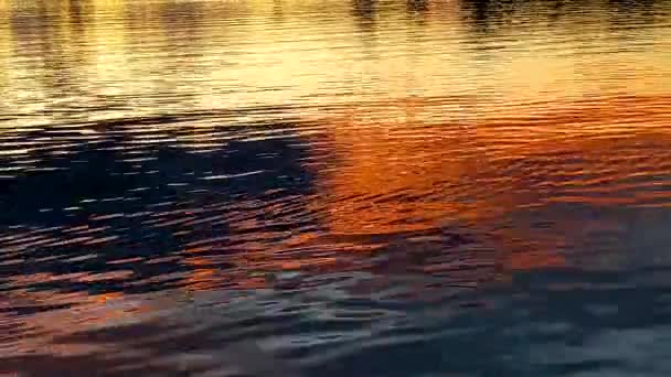Όμορφα Κύματα Στο Νερό Δυνατά Αντανακλάται Στο Νερό Φυσικό Περιβάλλον — Αρχείο Βίντεο