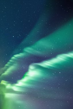 Gece yıldızlı gökyüzü ve kuzey ışıkları. Yeşil aurora borealis