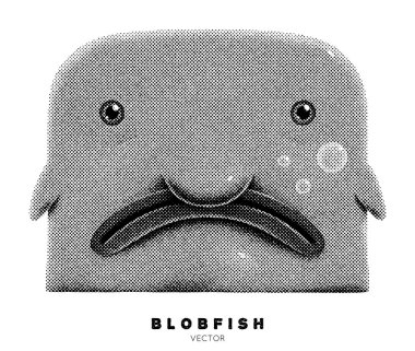  Blobfish. Australian exotic fish. Graphic ink pointillism technique clipart