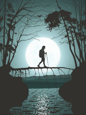 Ormanda yürüyüş yapan bir kadın. Yıldızlı bir gecede yürüyüş direkleri ile