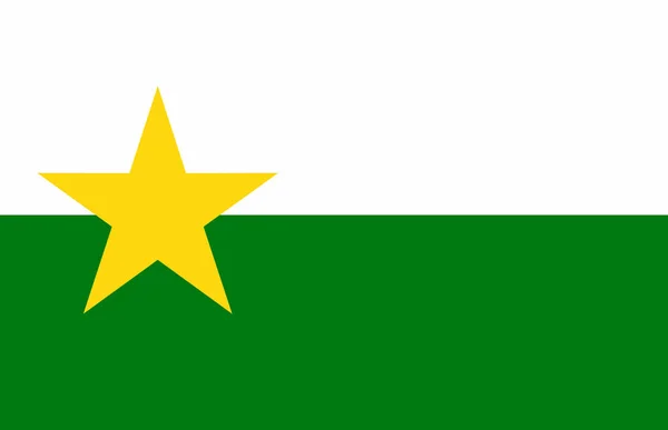 ノースカロライナ州フォーサイス郡の旗 — ストックベクタ