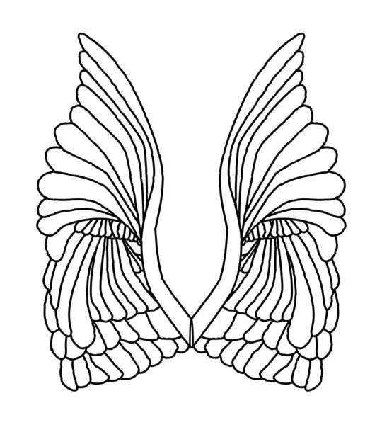 Черная Линия Рисующая Пару Ангельских Крыльев Белой Спине — стоковый вектор