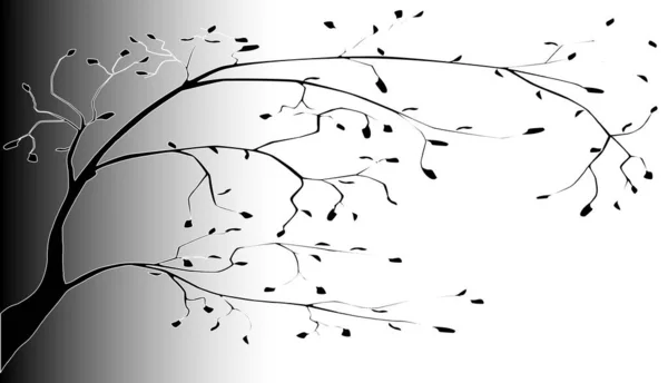 Black Silhouette Tree Branch Few Leaves White Black Fade Background — Stock Vector