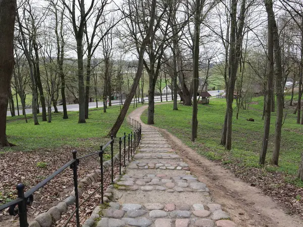 Taş Basamaklar Parkta Dolaşıyor