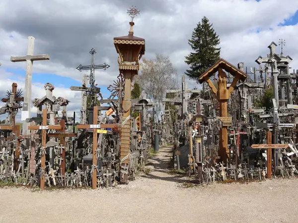  Litvanya 'daki Haç Tepesi Manzarası