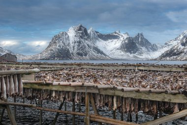 Kışın Lofoten 'ın sihirli manzarası. Seyahat edip Norveç 'i ziyaret edin