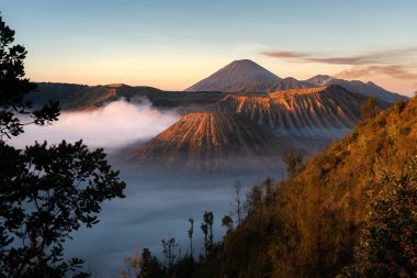 Bromo Tengger Semeru Milli Parkı 'nın muhteşem manzarası.