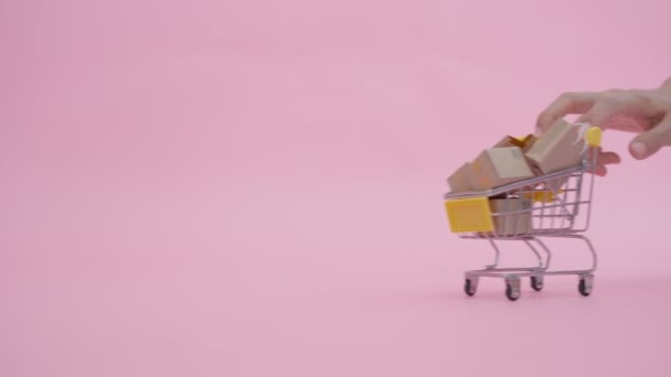 女人用手推着推车购物和网上购物送货上门 女人们在假日购买申请中的商品 放在她的推车上等待装运 — 图库视频影像