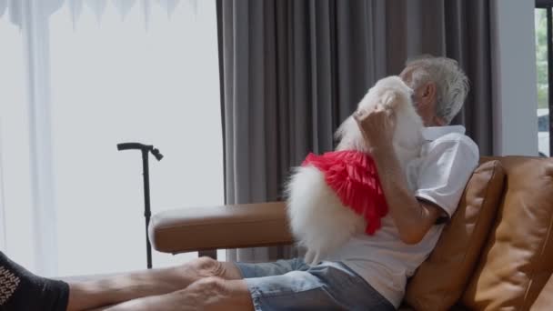 ヨーロッパの先輩は家で犬と笑顔で笑っています 強いおじいちゃん幸せを感じ 自宅で退職を楽しむ 高齢者医療 — ストック動画