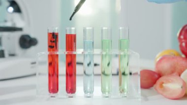 Scientist check chemical food residues in laboratory. Control experts inspect quality of fruits, vegetables. lab, hazards, ROHs, find prohibited substances, contaminate, Microscope, Microbiologist