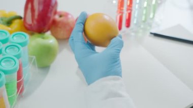 Scientist check chemical food residues in laboratory. Control experts inspect quality of fruits, vegetables. lab, hazards, ROHs, find prohibited substances, contaminate, Microscope, Microbiologist