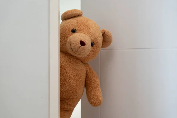 Cute Brown Teddy Bear Toy Sneak Door Surprise Congratulate Special — Stock Photo, Image