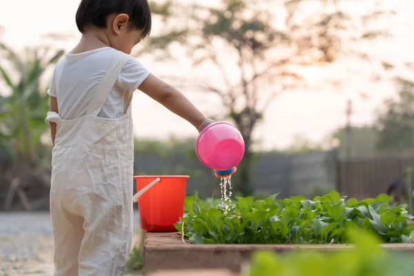 Pertanian Organik Rumah Pertanian Sayuran Organik Anak Anak Menyiram Sayuran — Stok Foto