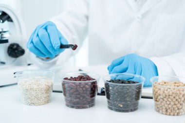 Bilimadamı laboratuvardaki tüm kimyasal tanecikleri kontrol ediyor. Kontrol uzmanları kimyasal kalıntıların konsantrasyonunu inceliyor. Tehlike, standart, yasaklı maddeler, kirlilik, mikrobiyolog
