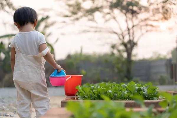 Pertanian Organik Rumah Pertanian Sayuran Organik Anak Anak Menanam Sayuran — Stok Foto