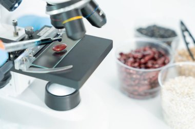 Bilimadamı laboratuvardaki tüm kimyasal tanecikleri kontrol ediyor. Kontrol uzmanları kimyasal kalıntıların konsantrasyonunu inceliyor. Tehlike, standart, yasaklı maddeler, kirlilik, mikrobiyolog