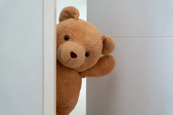 Cute brown Teddy bear toy sneak behind the door and surprise to congratulate the special day holiday festivals. game child, day care, welcome, kid day, shy childhood, party funny, stuffed doll