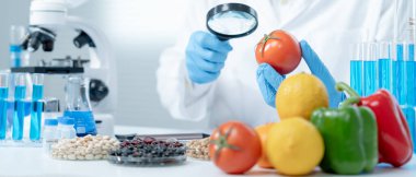 Bilimadamı laboratuardaki kimyasal meyve artıklarını kontrol ediyor. Kontrol uzmanları kimyasal kalıntıların konsantrasyonunu inceliyor. Tehlike, standart, yasaklı maddeleri bul, kirlet, mikrobiyolog