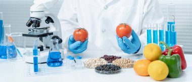 Bilimadamı laboratuvardaki kimyasal gıda kalıntılarını kontrol ediyor. Denetim uzmanları sebzelerin kalitesini inceler. Laboratuvar, tehlikeli maddeler, yasaklı maddeler, kirlilik, mikroskop, mikrobiyolog