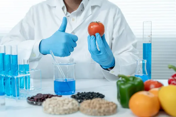 Cientista Não Garante Nenhum Produto Químico Resíduos Frutas Laboratório Especialistas — Fotografia de Stock