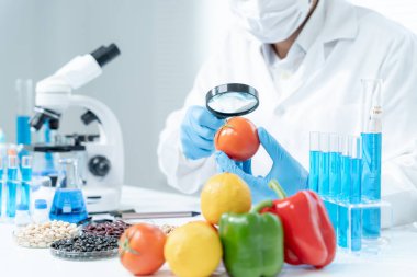 Bilimadamı laboratuvardaki kimyasal gıda kalıntılarını kontrol ediyor. Kontrol uzmanları meyve ve sebzelerin kalitesini inceler. Laboratuvar, tehlike, ROHs, yasaklı maddeleri bul, kirlet, mikroskop, mikrobiyoloji