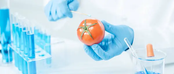 Scientist Check Chemical Food Residues Laboratory Control Experts Inspect Quality — Stock Photo, Image