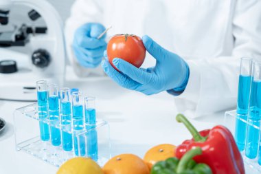 Bilimadamı laboratuvardaki kimyasal gıda kalıntılarını kontrol ediyor. Kontrol uzmanları meyve ve sebzelerin kalitesini inceler. Laboratuvar, tehlike, ROHs, yasaklı maddeleri bul, kirlet, mikroskop, mikrobiyoloji