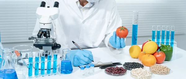 Scientist check chemical food residues in laboratory. Control experts inspect quality of vegetables  vegetables. lab, hazards, find prohibited substances, contaminate, Microscope, Microbiologist