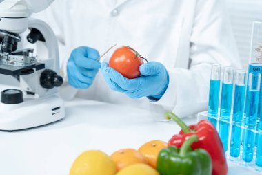 Bilimadamı laboratuardaki kimyasal meyve artıklarını kontrol ediyor. Kontrol uzmanları kimyasal kalıntıların konsantrasyonunu inceliyor. Tehlike, standart, yasaklı maddeleri bul, kirlet, mikrobiyolog