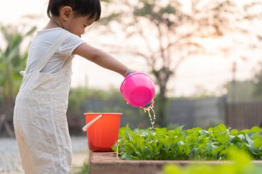 Evde organik tarım, organik sebze çiftliği. Çocuklar organik sebzeleri suluyor. Zehirli olmayan sebze doğal olarak yetişir. sera bahçesi, Ekolojik Biyolojik, Sağlıklı, Vejetaryen, ekoloji