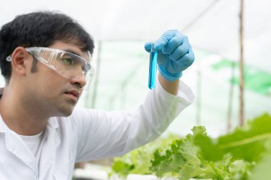 Bilim adamları dışarıdaki kimyasal besin kalıntılarını kontrol ediyor. Kontrol uzmanları meyve ve sebzelerin kalitesini inceler. Laboratuvar, tehlike, ROHs, yasaklı maddeleri bul, kirlet, mikroskop, mikrobiyolog