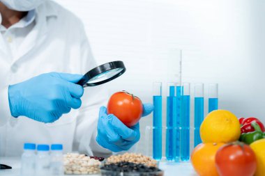 Scientist check chemical food residues in laboratory. Control experts inspect the concentration of chemical residues. hazards, ROHs standard, find prohibited substances, contaminate, Microbiologist