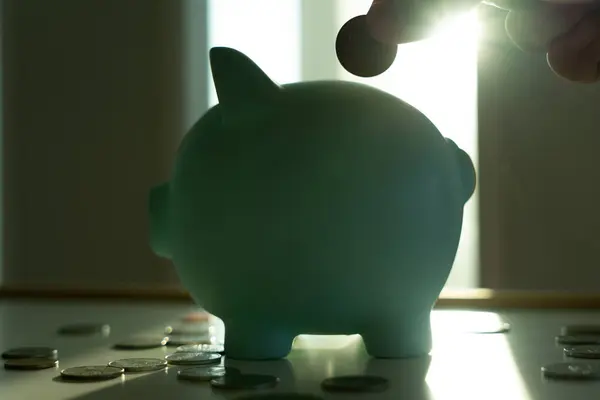 Save money. Smart modern  woman putting coin into piggy bank for saving. wealth, Finance, business, investment, retirement, future, accounting, plan life, economize, banking, family, health.